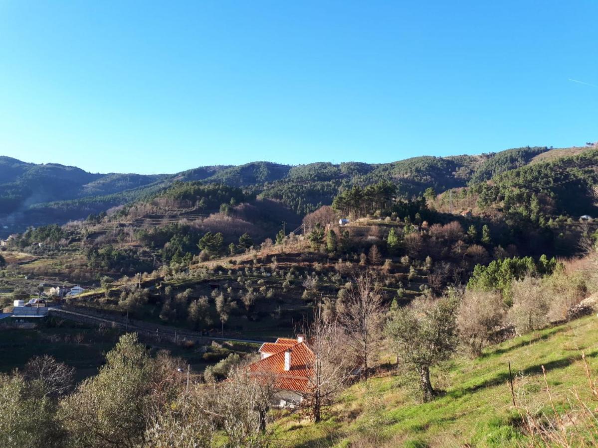 Casa Das Oliveiras - Мантейгаш Екстериор снимка