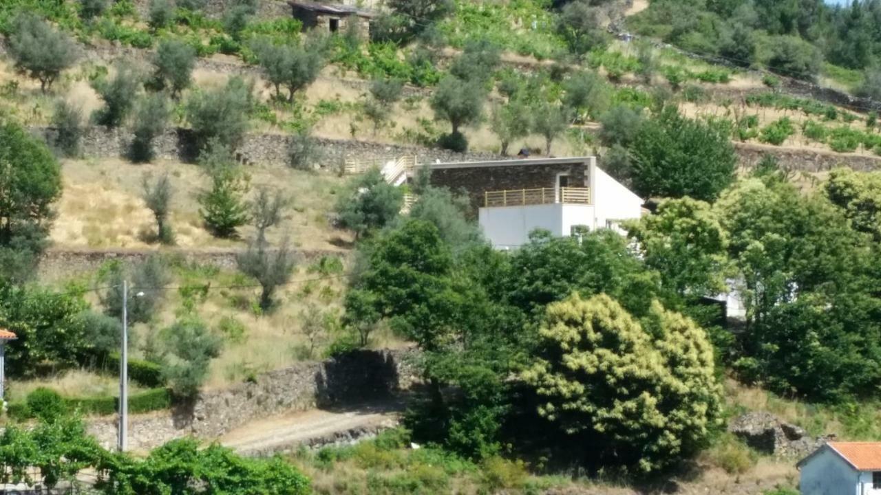 Casa Das Oliveiras - Мантейгаш Екстериор снимка