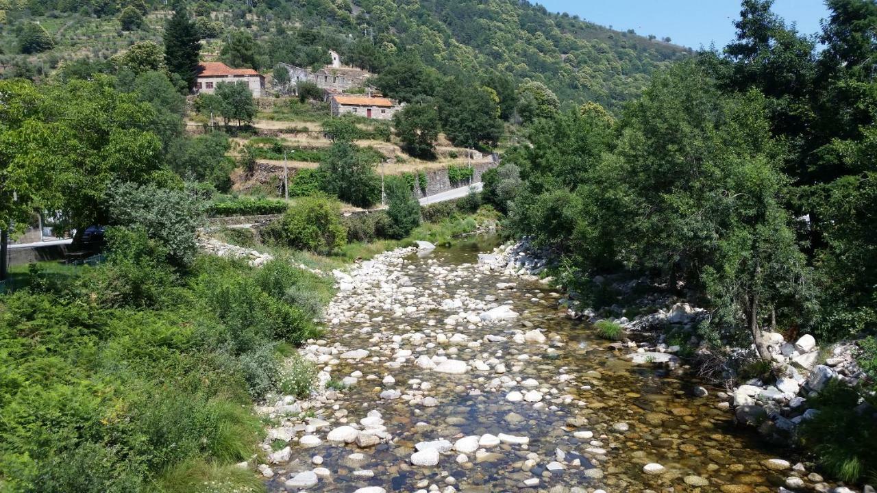 Casa Das Oliveiras - Мантейгаш Екстериор снимка